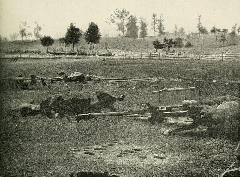 File:AntietamAftermath1862.jpg