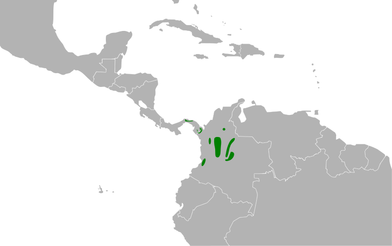 File:Arremon atricapillus map.svg