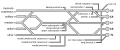 Brachial plexus