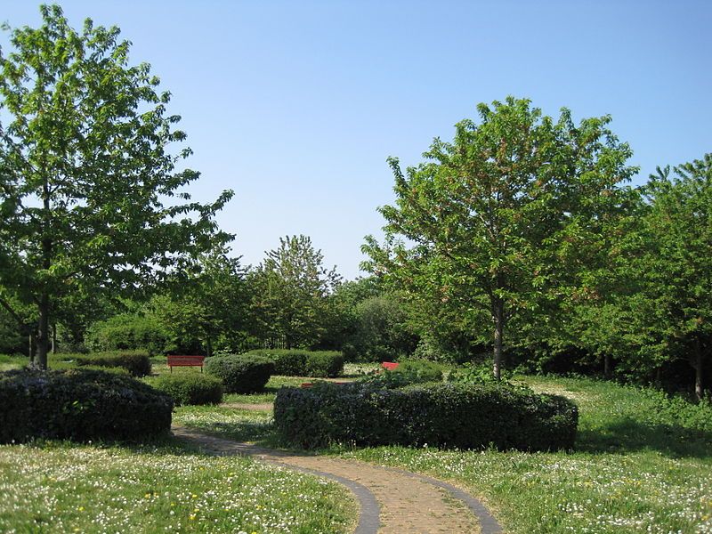 File:Clarefield Park.JPG