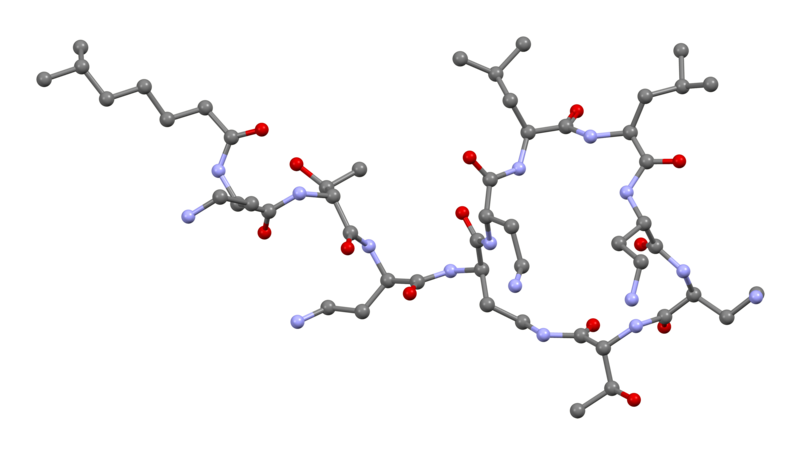 File:Colistin-from-PDB-5L3G-3D-bs-17-noH.png