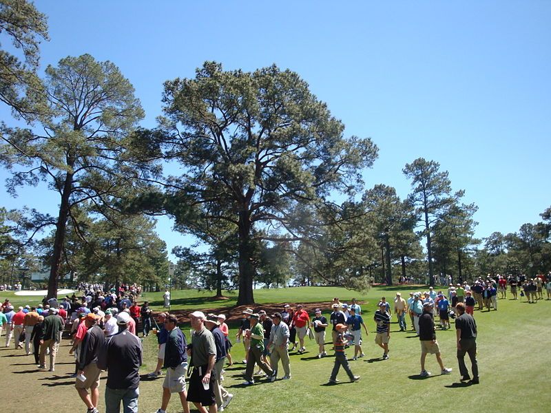 File:Eisenhower Tree 2011.jpg