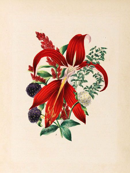 File:Elizabeth-Wirt-plate-mixed-flowers-1855.jpg