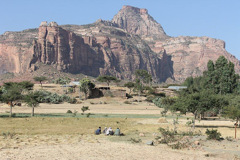 File:Ethiopia Gheralta MenHarvestingTef.JPG