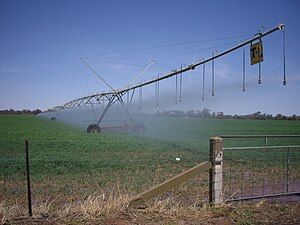 Centre pivot irrigation near Euberta in the Riverina region of New South Wales.