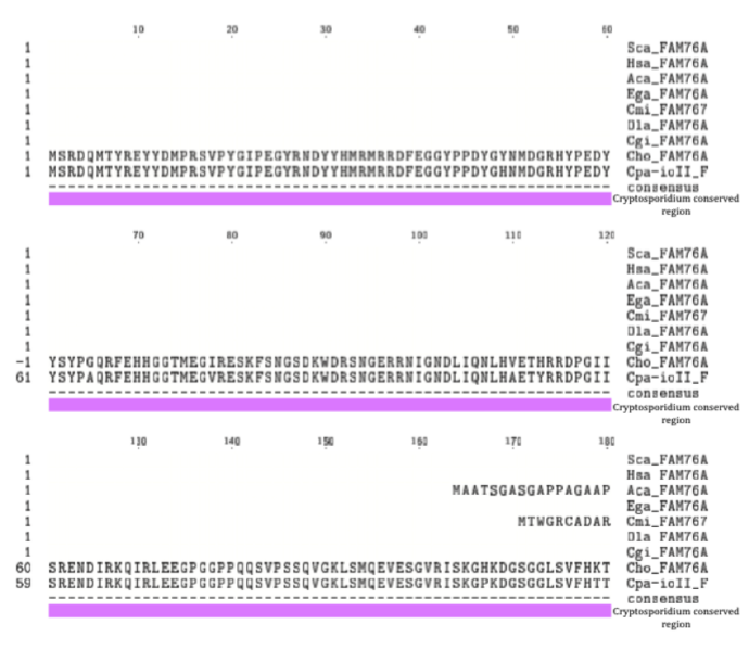 File:FAM76A MSA1.png