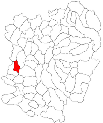 Location in Caraș-Severin County