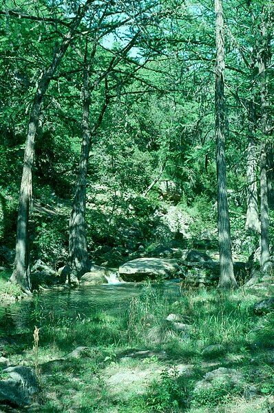 File:Hamilton-pool-stream.JPG