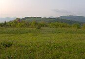 View from Huckleberry Knob, looking south