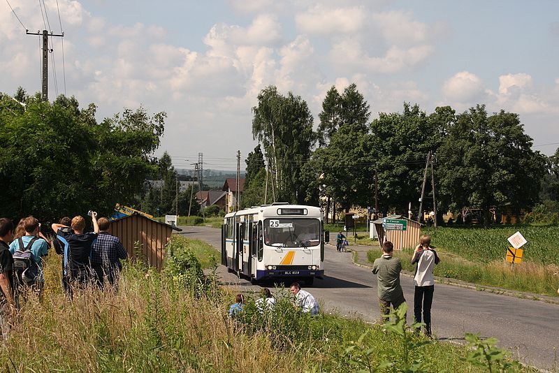 File:Ikarus-Zemun IK160P.jpg