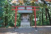 Hachiman torii