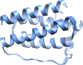 A three-dimensional model with two pairs of opposed curling columns attached together at their ends by more linear segments.