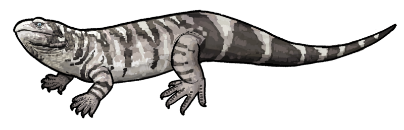 File:Mesosuchus browni.png