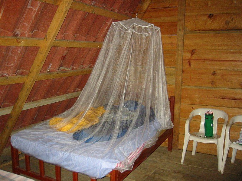 File:Mosquito Netting.jpg