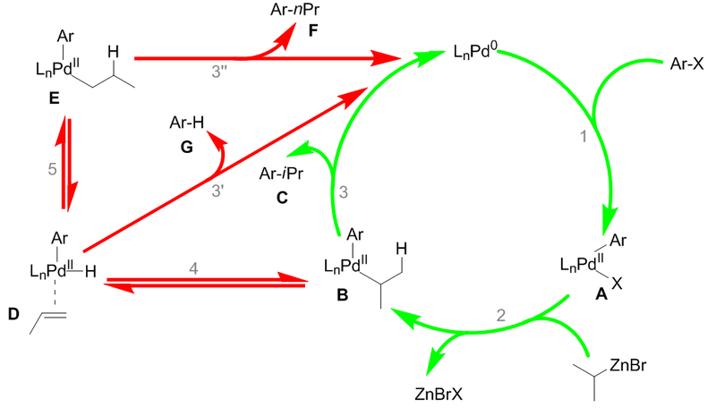 File:Negishi coupling mechanism.png