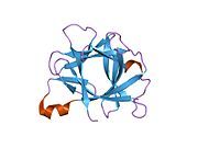 21bi: INTERLEUKIN-1 BETA (IL-1 BETA) (MUTANT WITH CYS 71 REPLACED BY ALA) (C71A)