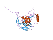 2cl3: CRYSTAL STRUCTURE OF HUMAN CLEAVAGE AND POLYADENYLATION SPECIFICITY FACTOR 5 (CPSF5)