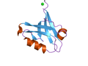 2pa1: Structure of the PDZ domain of human PDLIM2 bound to a C-terminal extension from human beta-tropomyosin