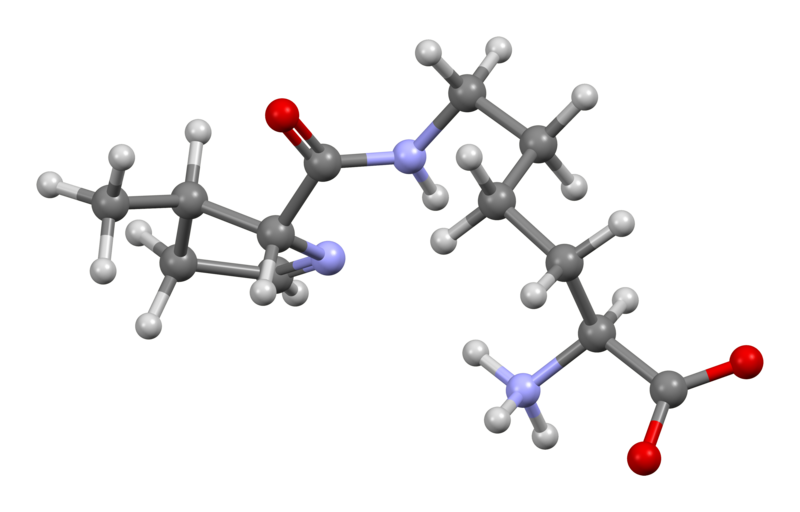 File:Pyrrolysine-from-PDB-3D-bs-17.png