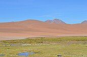 Bofedales in the foreground