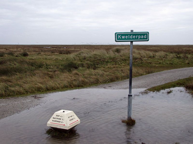 File:Schiermonnikoog-Kwelderpad.jpg