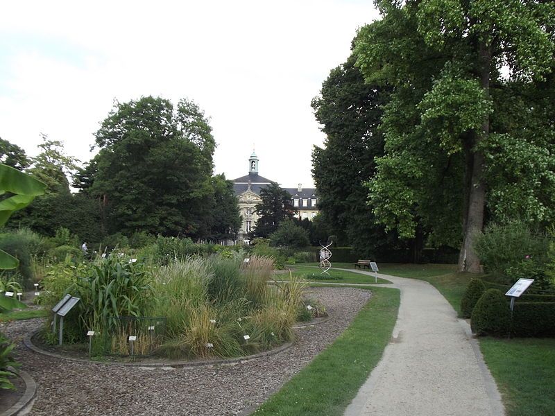 File:Schlossgarten Münster 2013.jpg