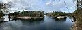 Confluence of the Withlacoochee (center) and the Suwannee (foreground)