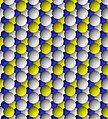 View of trioctahedral sheet of talc. Yellow spheres are hydroxyl; blue are magnesium. Apical oxygen binding sites are white.