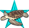 The Turtle Barnstar