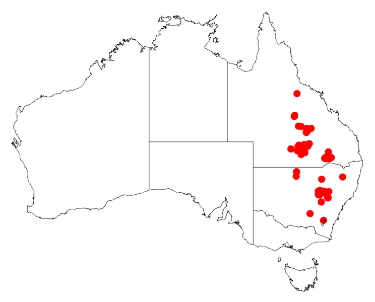 File:Acacia ixodesDistMap475.png