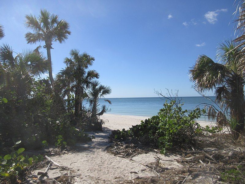 File:BarefootBeachFL.jpg