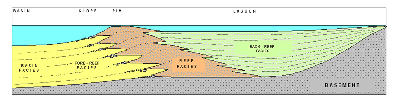 File:CARBONATIC PLATFORM EN.PNG