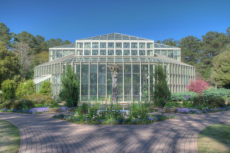 File:Day butterfly center.jpg