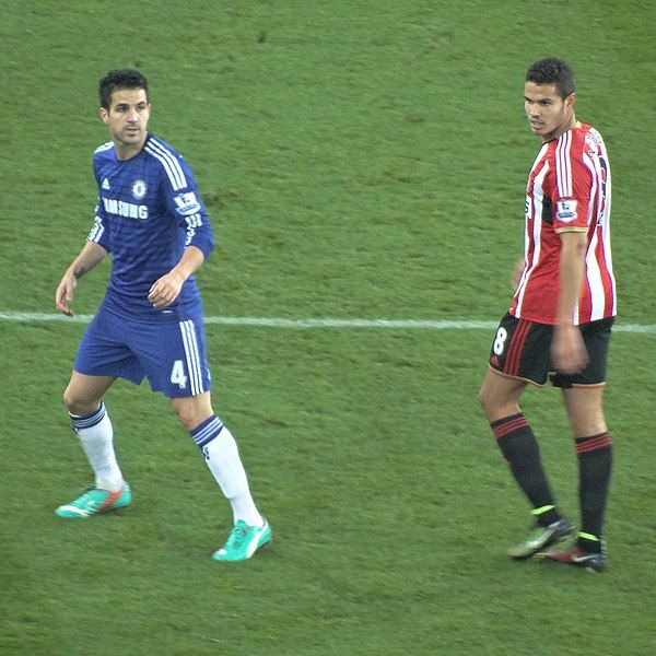 File:Fabregas Rodwell.jpg