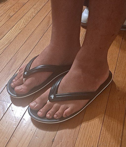 File:Flip flops.jpg