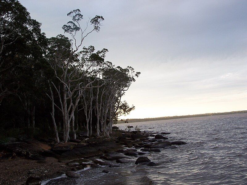 File:Lake Cootharaba 1.jpg