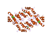 2f37: Crystal structure of the ankyrin repeat domain of human TRPV2