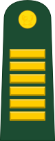 File:Peru-Army-OF-5.svg