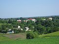 Pluzhne. View on tsenter