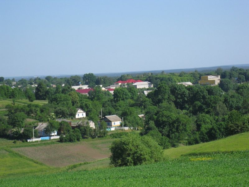 File:Pluzhne General view.jpg