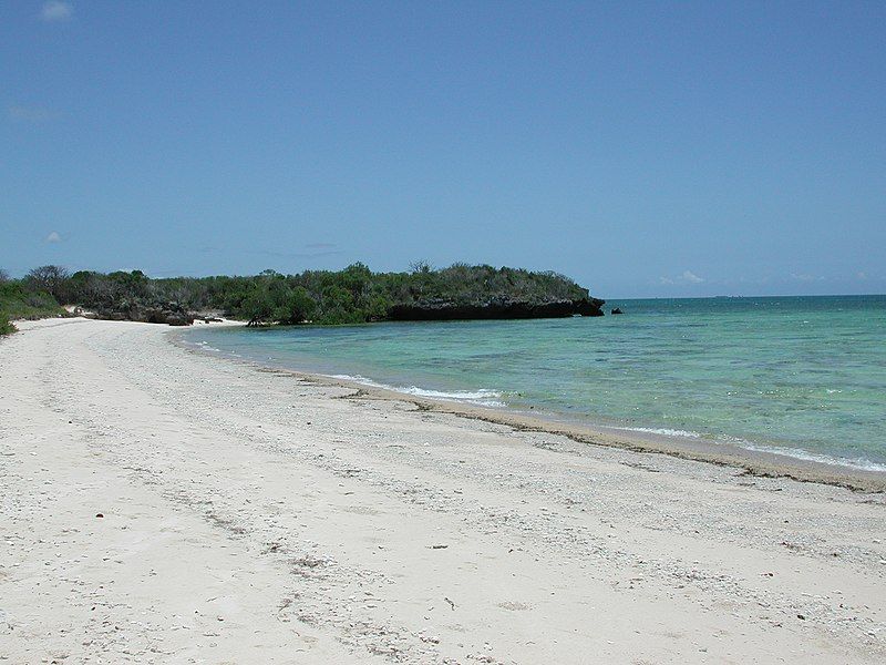 File:Quilalea in Mozambique.JPG