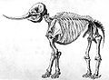 Image 16Drawing of a mastodon skeleton by Rembrandt Peale (from History of Wisconsin)