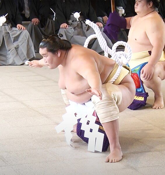 File:Teru yokozuna.jpg