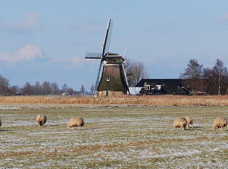 File:Tochmaland molen.jpg