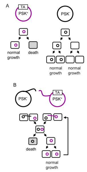 File:Toxin-antitoxin inheritance.png