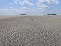 The south tip of Tybee Island at low tide