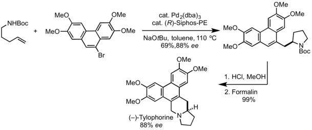 (−)-Tylophorine Synthesis