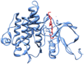 Tyrosine Kinase Inhibitor Dasatnib in Complex with Abl1 Kinase