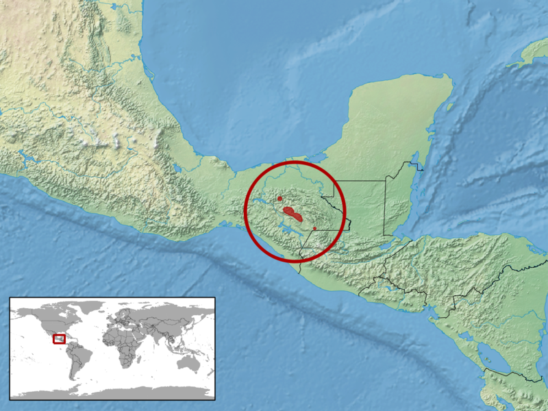 File:Abronia lythrochila distribution.png