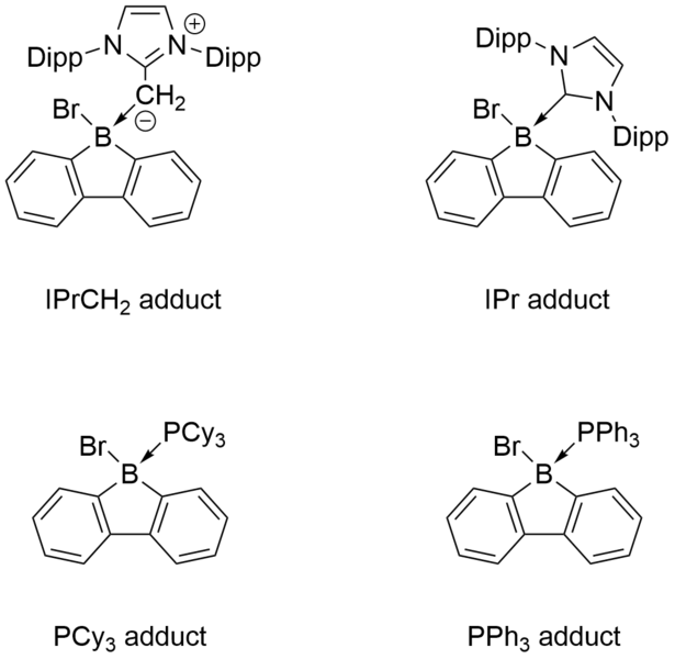 File:Adducts of 9Bf.png